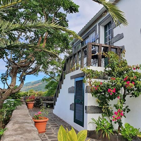 Casa Do Gato Preto Villa Santo Amaro  Exteriör bild