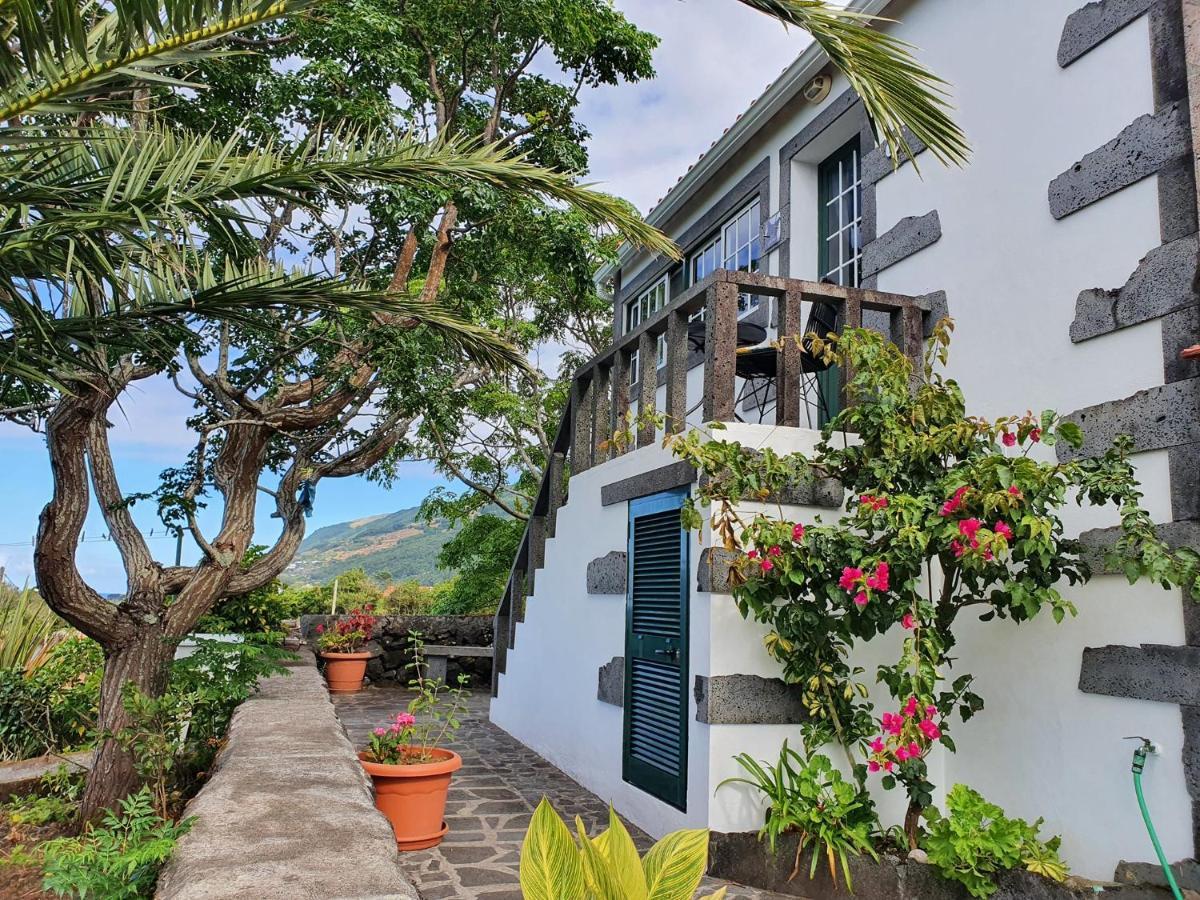 Casa Do Gato Preto Villa Santo Amaro  Exteriör bild